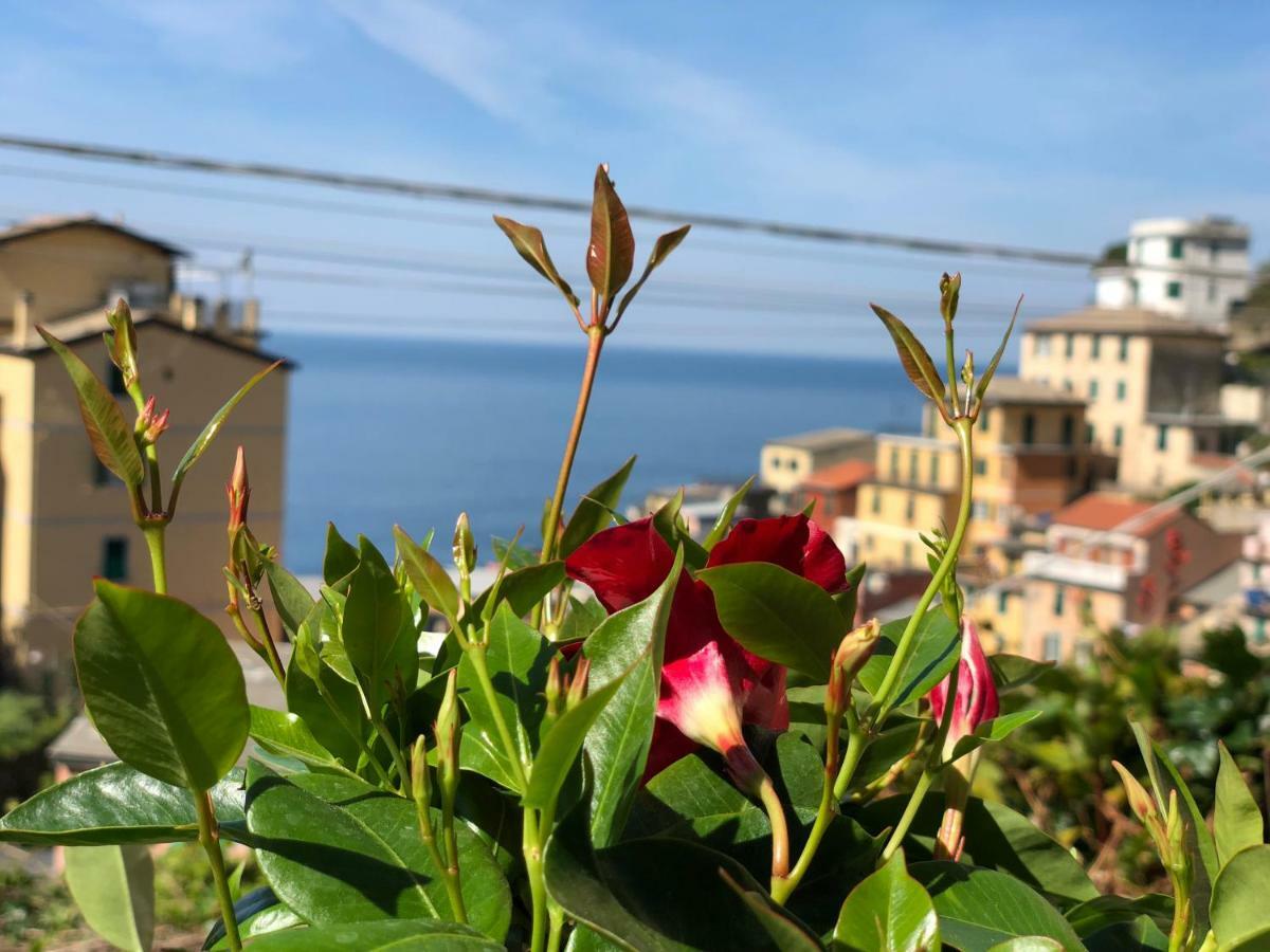 Cinque Terre Coast To Coast Otel Riomaggiore Dış mekan fotoğraf
